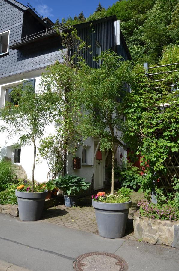 Birgits Landhaus Willingen Willingen  Extérieur photo