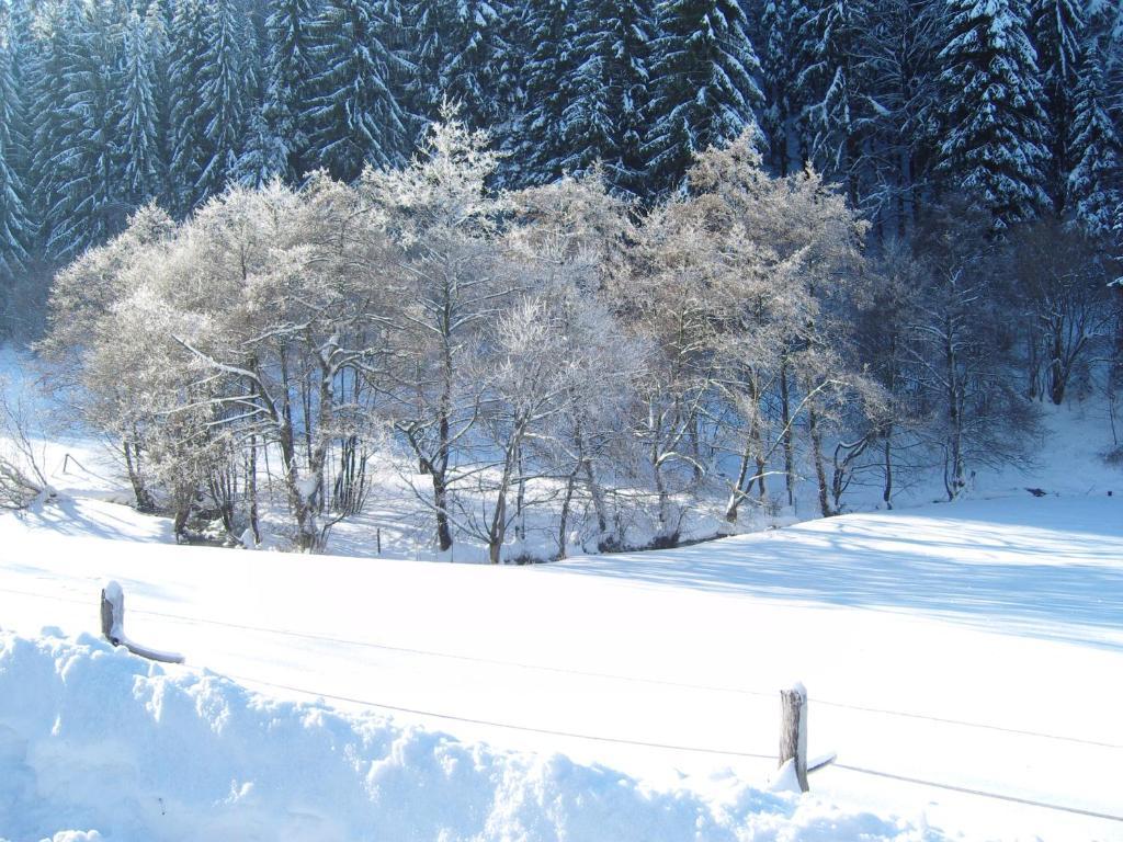 Birgits Landhaus Willingen Willingen  Extérieur photo
